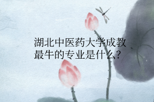 湖北中醫(yī)藥大學成教最牛的專業(yè)是什么？