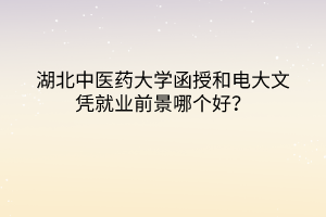 湖北中醫(yī)藥大學函授和電大文憑就業(yè)前景哪個好？