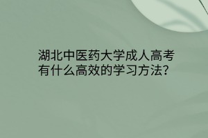 湖北中醫(yī)藥大學(xué)成人高考有什么高效的學(xué)習(xí)方法？