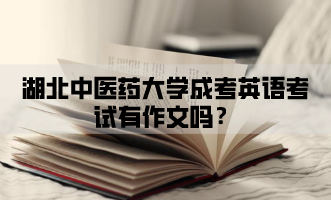 湖北中醫(yī)藥大學(xué)成考英語考試有作文嗎？